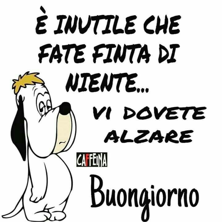 Spiritoso Divertente Buongiorno Immagini 87