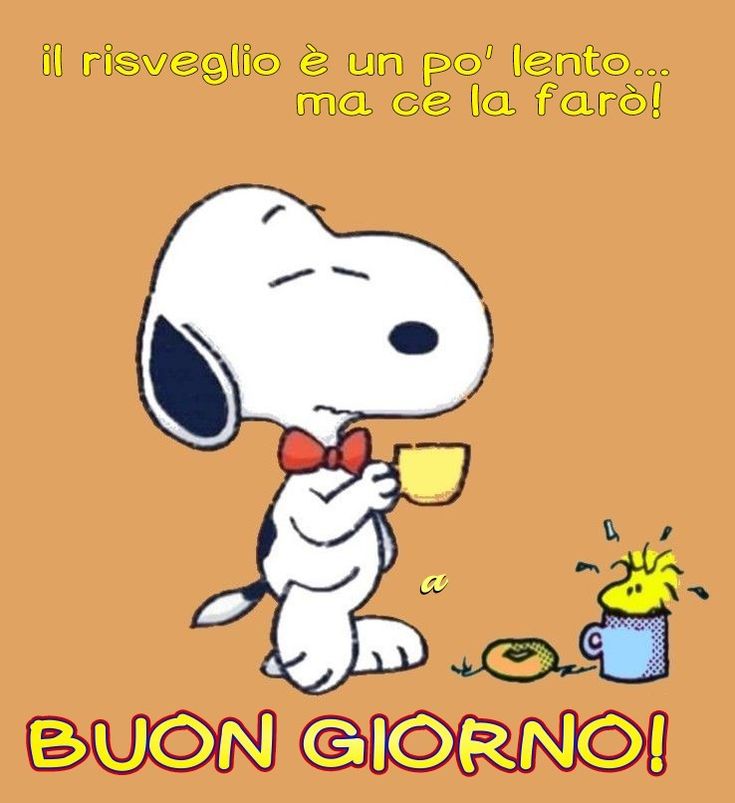 Spiritoso Divertente Buongiorno Immagini 94