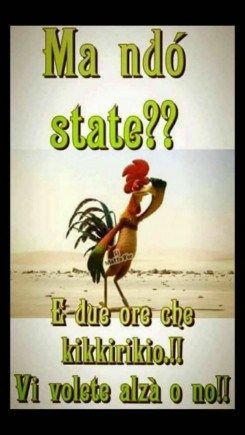 Spiritoso Divertente Buongiorno Immagini 95